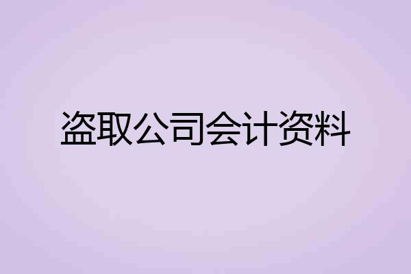 盗取公司会计资料