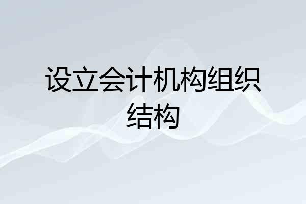 设立会计机构组织结构