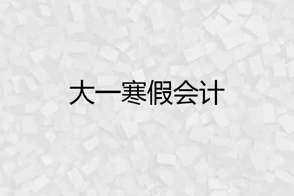 大一寒假会计