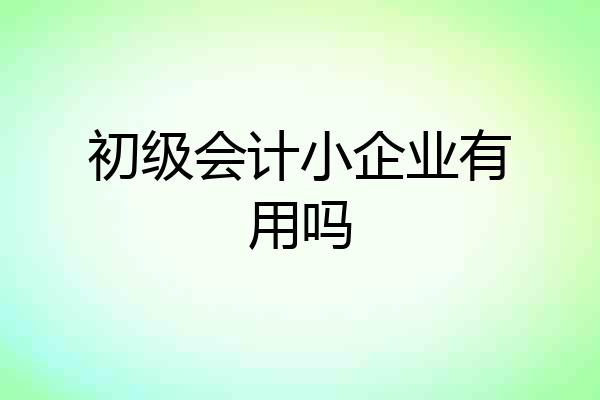 初级会计小企业有用吗