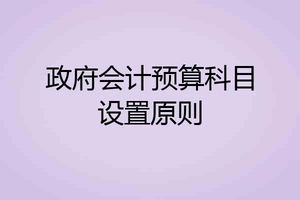 政府会计预算科目设置原则