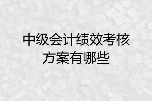 中级会计绩效考核方案有哪些