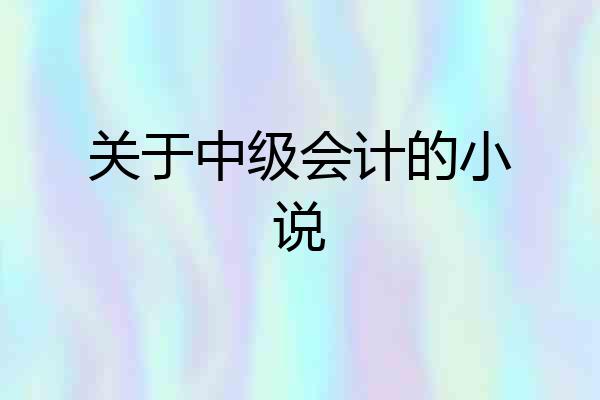 关于中级会计的小说