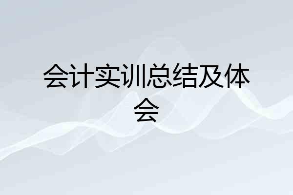 会计实训总结及体会