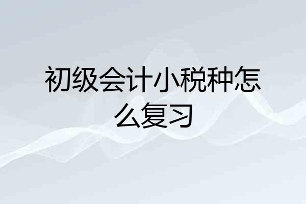 初级会计小税种怎么复习