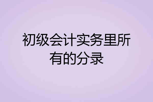 初级会计实务里所有的分录