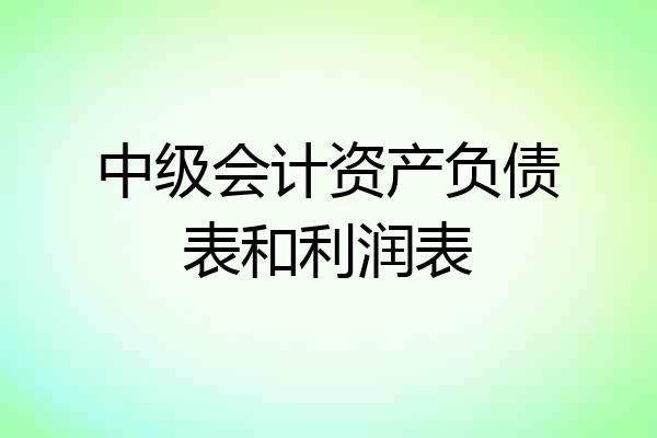 中级会计资产负债表和利润表