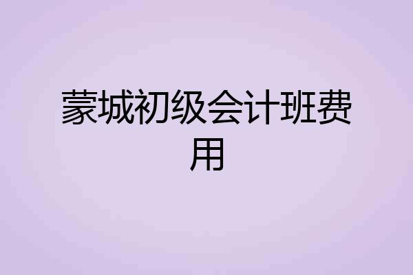 蒙城初级会计班费用