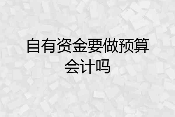自有资金要做预算会计吗