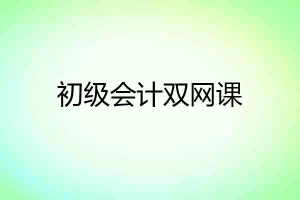 初级会计双网课