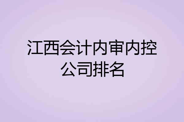 江西会计内审内控公司排名