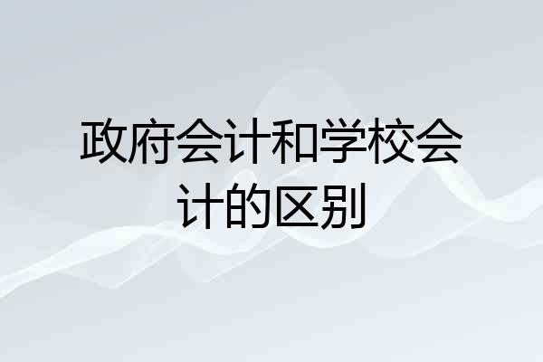 政府会计和学校会计的区别