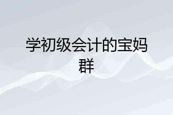 学初级会计的宝妈群