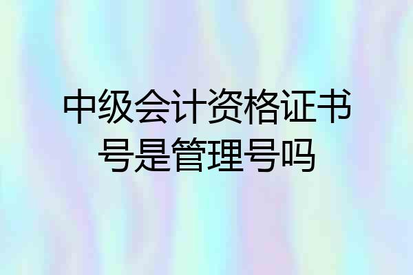 中级会计资格证书号是管理号吗