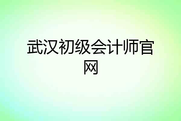 武汉初级会计师官网