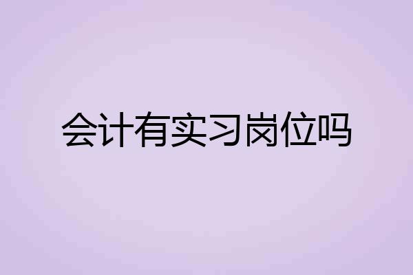 会计有实习岗位吗