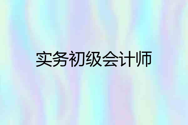 实务初级会计师