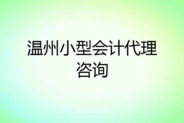 温州小型会计代理咨询