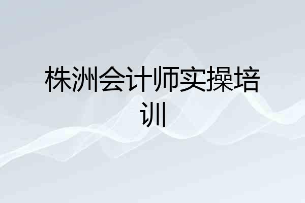 株洲会计师实操培训
