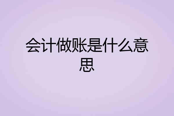 会计做账是什么意思