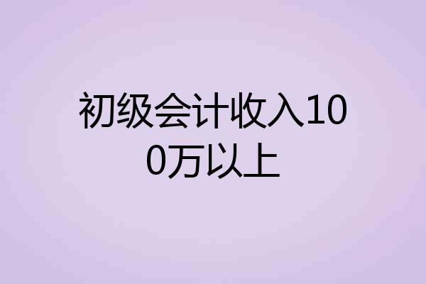 初级会计收入100万以上