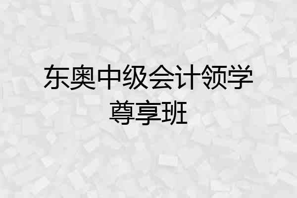 东奥中级会计领学尊享班