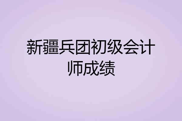 新疆兵团初级会计师成绩