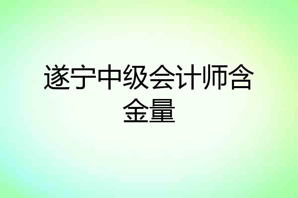 遂宁中级会计师含金量