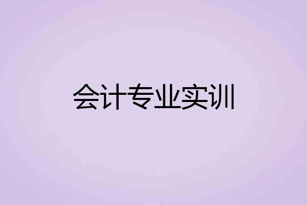会计专业实训