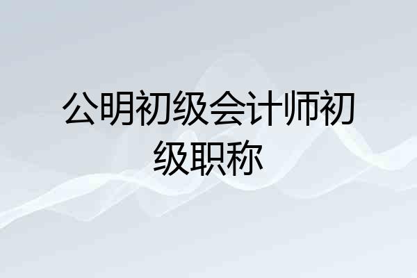公明初级会计师初级职称