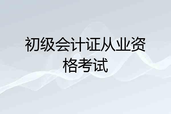 初级会计证从业资格考试