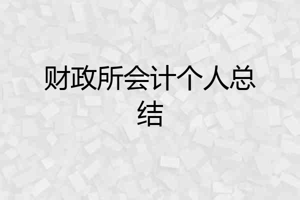 财政所会计个人总结