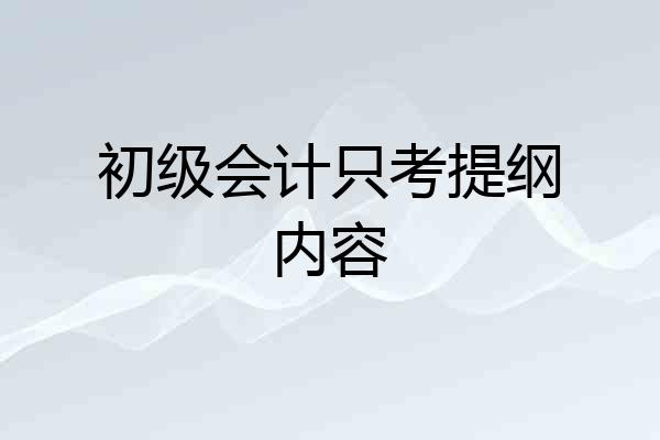 初级会计只考提纲内容