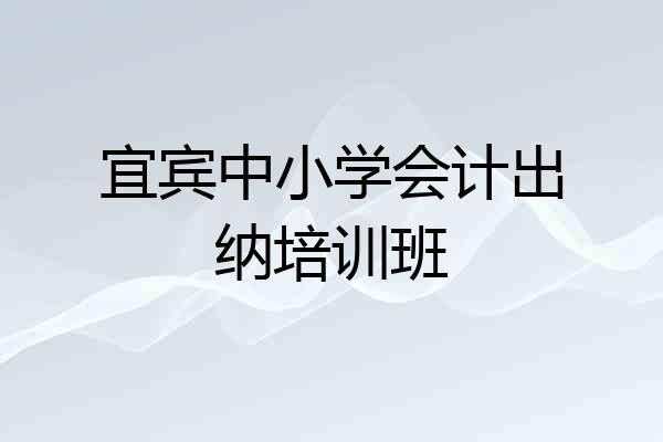 宜宾中小学会计出纳培训班
