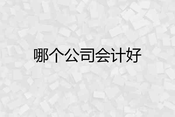 哪个公司会计好
