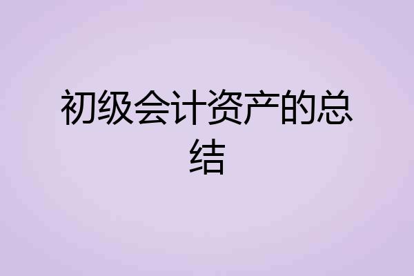 初级会计资产的总结