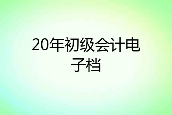 20年初级会计电子档