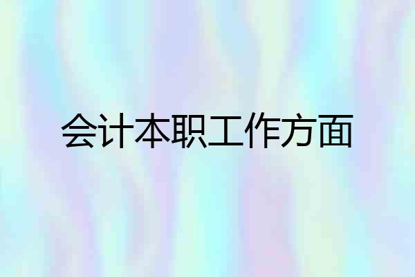 会计本职工作方面