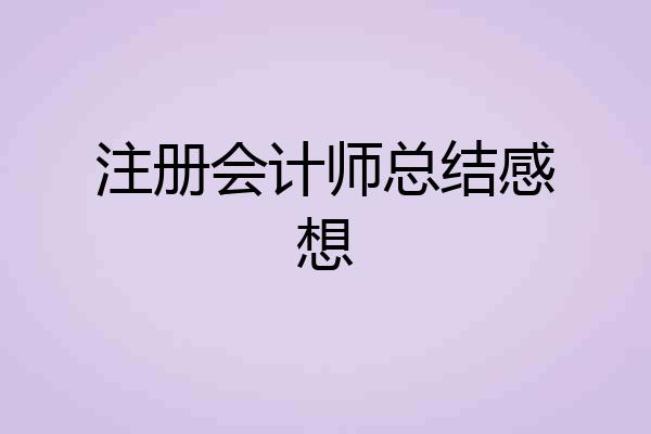 注册会计师总结感想