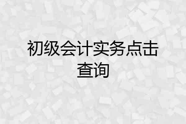 初级会计实务点击查询