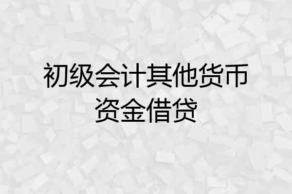 初级会计其他货币资金借贷