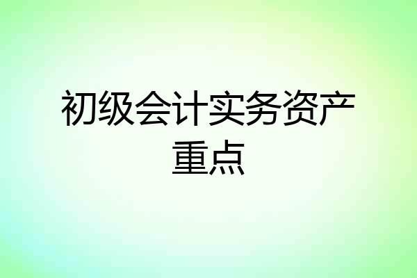 初级会计实务资产重点