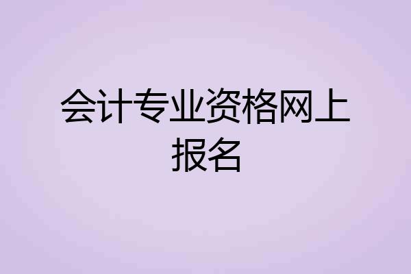 会计专业资格网上报名
