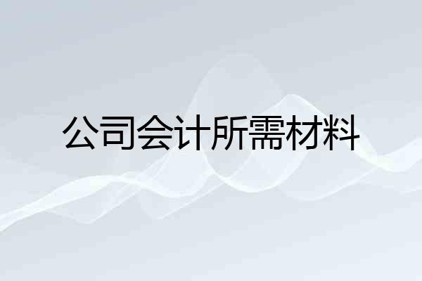 公司会计所需材料