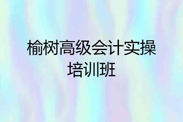 榆树高级会计实操培训班