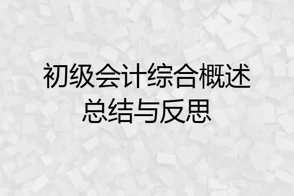 初级会计综合概述总结与反思