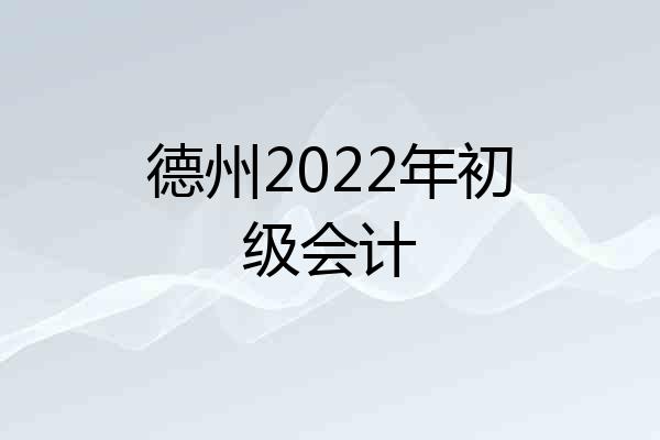 德州2022年初级会计
