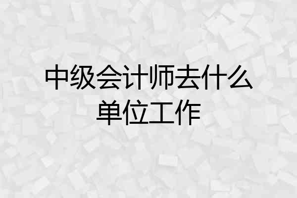 中级会计师去什么单位工作