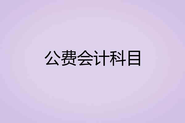 公费会计科目
