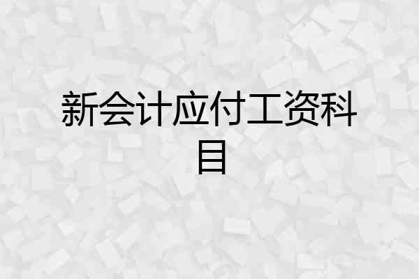 新会计应付工资科目